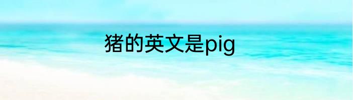 猪的英文是pig