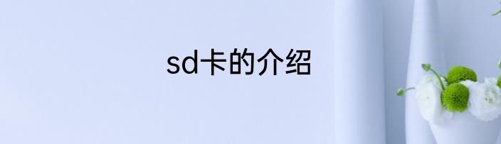 sd卡的介绍