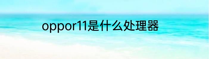 oppor11是什么处理器