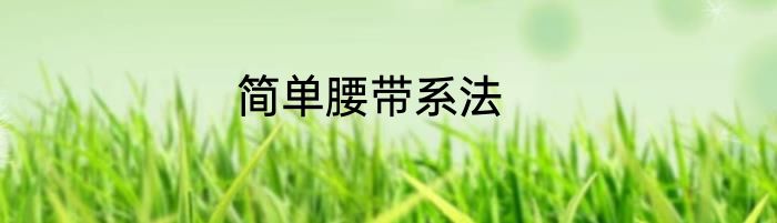 简单腰带系法