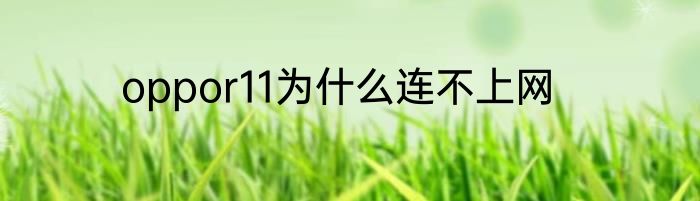 oppor11为什么连不上网