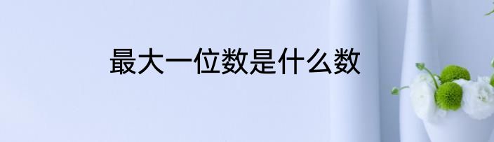 最大一位数是什么数