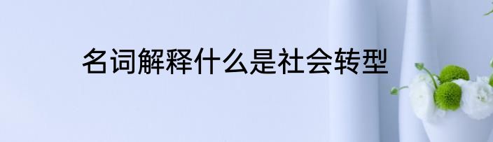 名词解释什么是社会转型
