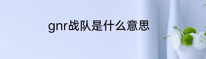 gnr战队是什么意思