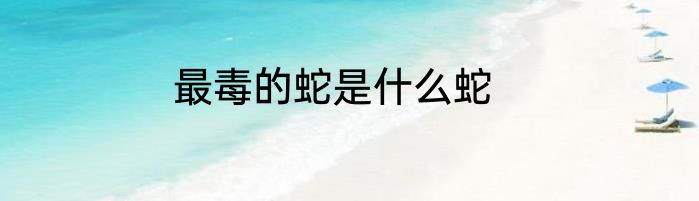 最毒的蛇是什么蛇