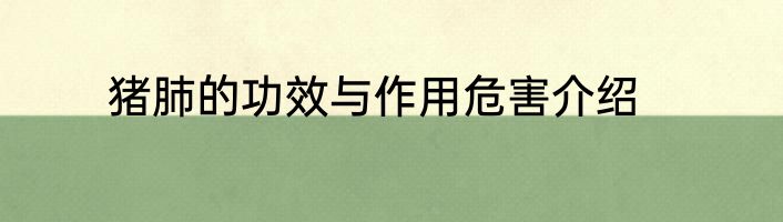 猪肺的功效与作用危害介绍