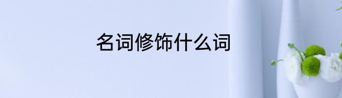 名词修饰什么词