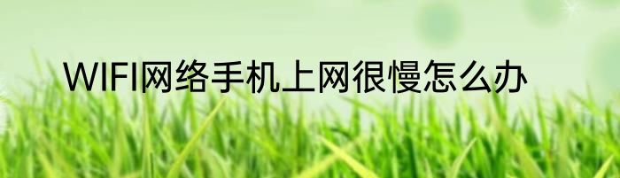 WIFI网络手机上网很慢怎么办