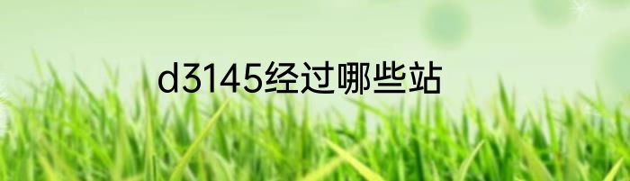 d3145经过哪些站