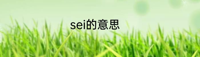 sei的意思