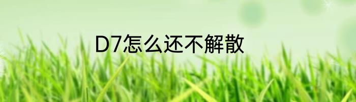 D7怎么还不解散