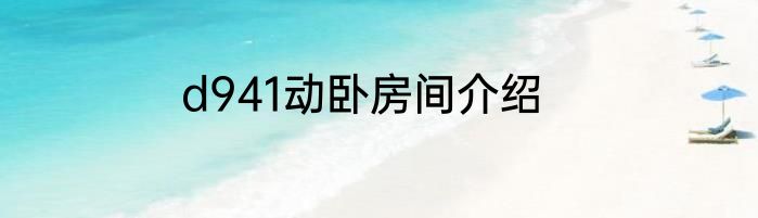 d941动卧房间介绍