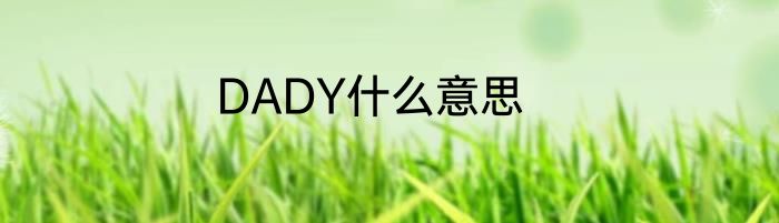 DADY什么意思
