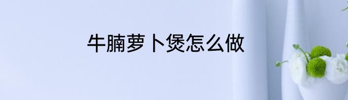 牛腩萝卜煲怎么做