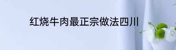 红烧牛肉最正宗做法四川