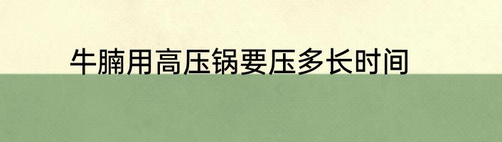 牛腩用高压锅要压多长时间