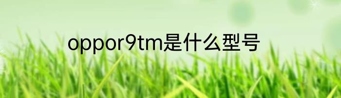 oppor9tm是什么型号