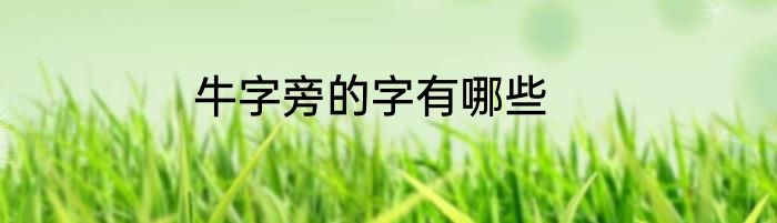 牛字旁的字有哪些
