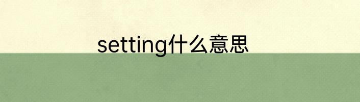 setting什么意思