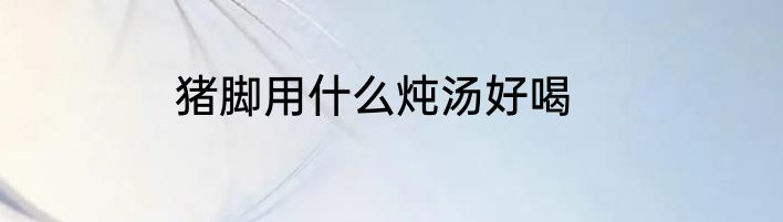 猪脚用什么炖汤好喝