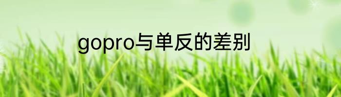 gopro与单反的差别