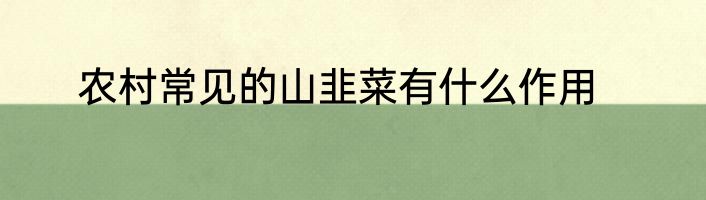 农村常见的山韭菜有什么作用