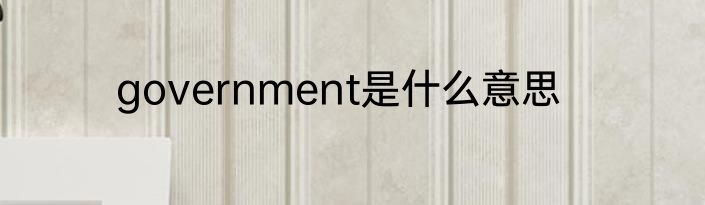 government是什么意思