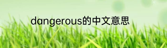 dangerous的中文意思