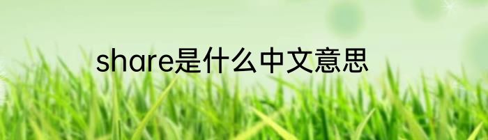 share是什么中文意思