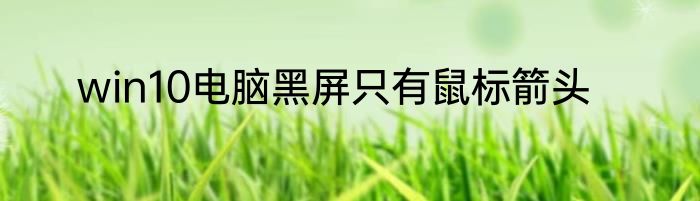 win10电脑黑屏只有鼠标箭头