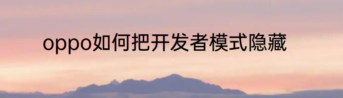 oppo如何把开发者模式隐藏