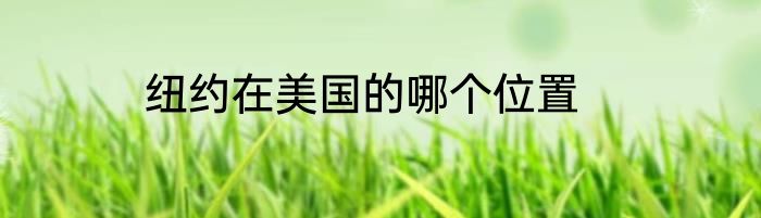 纽约在美国的哪个位置