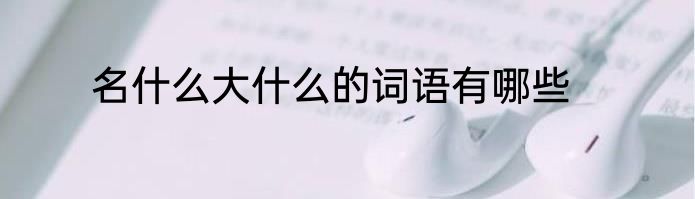 名什么大什么的词语有哪些
