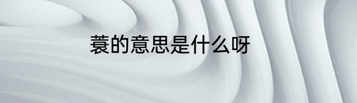 蓑的意思是什么呀