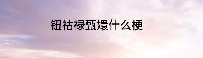 钮祜禄甄嬛什么梗