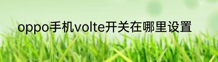 oppo手机volte开关在哪里设置