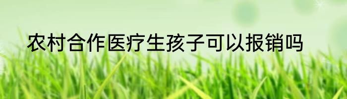农村合作医疗生孩子可以报销吗