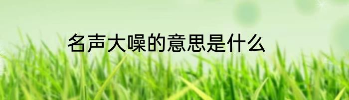 名声大噪的意思是什么