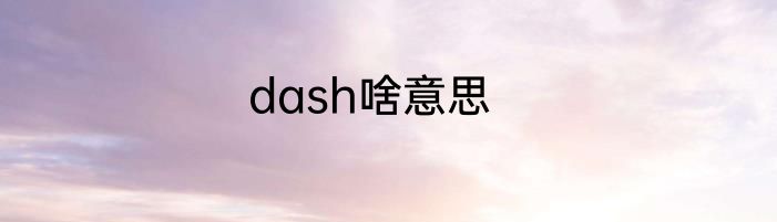 dash啥意思