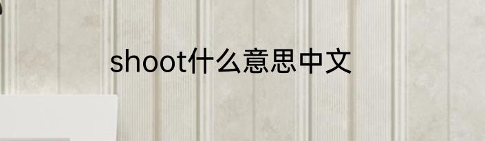 shoot什么意思中文