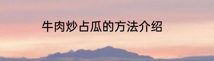 牛肉炒占瓜的方法介绍
