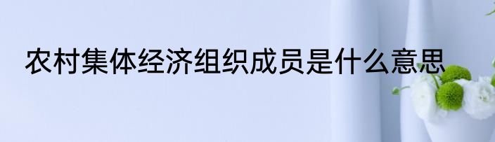 农村集体经济组织成员是什么意思