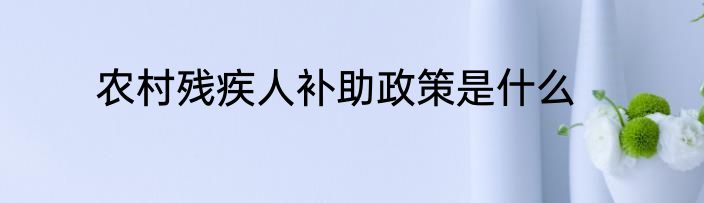 农村残疾人补助政策是什么