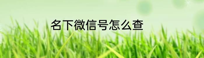 名下微信号怎么查