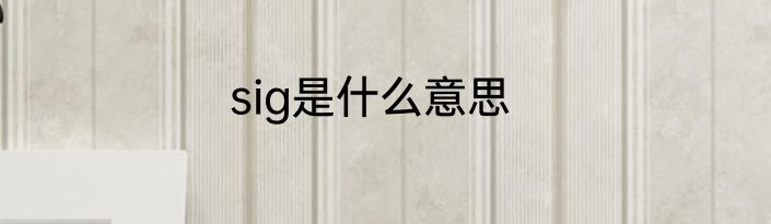 sig是什么意思