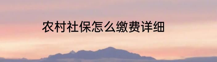 农村社保怎么缴费详细