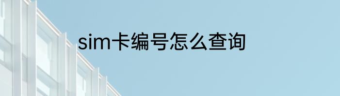 sim卡编号怎么查询