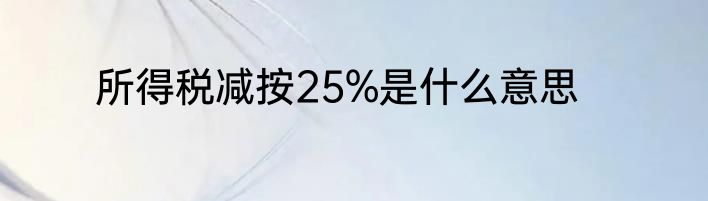 所得税减按25%是什么意思