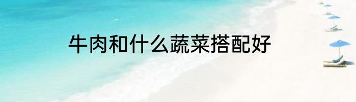 牛肉和什么蔬菜搭配好