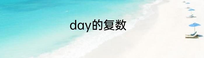 day的复数